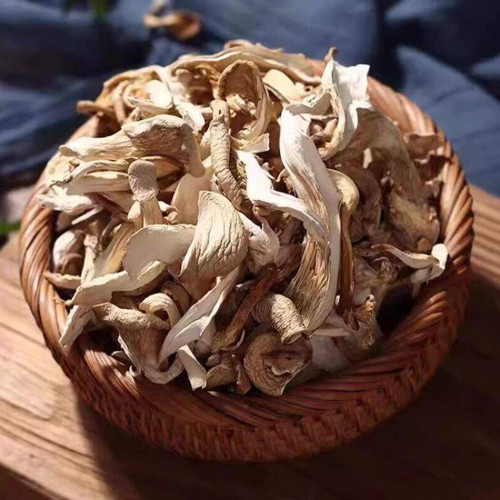 Premium Dried Oyster Mushrooms