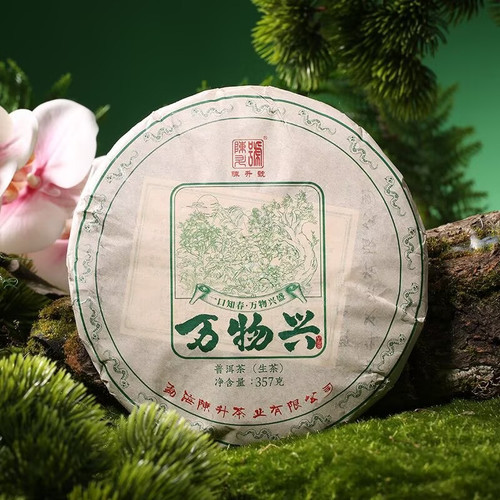 CHENSHENGHAO Brand Wan Wu Xing Pu-erh Tea Cake 2025 357g Raw