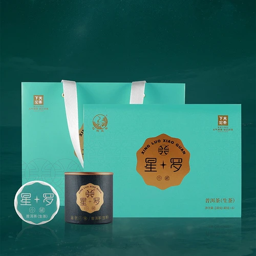 XIAGUAN Brand Xing Luo Pu-erh Tea Cake 2024 240g Raw