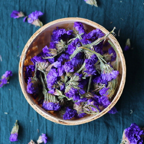 Forget-me-not Dried Flowers