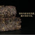 BAISHAXI Brand Wen Fu Anhua Golden Flowers Fucha Dark Tea 600g Brick