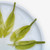 EFUTON Brand An Ji Bai Pian An Ji Bai Cha Green Tea 100g