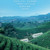 EFUTON Brand An Ji Bai Pian An Ji Bai Cha Green Tea 100g
