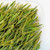 EFUTON Brand An Ji Bai Pian An Ji Bai Cha Green Tea 100g