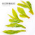 TenFu's TEA Brand Jin Guan Long Jing Dragon Well Green Tea 100g