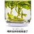 TenFu's TEA Brand Zao Chun Long Jing Dragon Well Green Tea 100g TenFu's TEA Brand Zao Chun Long Jing Dragon Well Green Tea 100g
