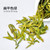 TenFu's TEA Brand Zao Chun Long Jing Dragon Well Green Tea 100g