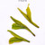 TenFu's TEA Brand Yu Qian Que She Sparrow's Tongue Green Tea 100g