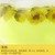 XI HU Brand Golden Fetal Chrysanthemum Bud Tea 150g