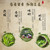 GONGPAI Brand Yu Qian 2nd Grade Long Jing Dragon Well Green Tea 250g