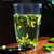 HUI LIU Brand Qian Yu Qian 1st Grade Liu An Gua Pian Melon Slice Tea 250g