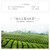 TAIWAN TEA Brand Rui Feng Jin Zhi Qing Xiang AliShan Taiwan High Mountain Gao Shan Oolong Tea 150g
