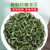 H. GENERAL Brand Ming Qian Premium Grade Nen Ya Bi Luo Chun China Green Snail Spring Tea 100g