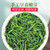 H. GENERAL Brand Ming Qian Premium Grade Que She Sparrow's Tongue Chinese Green Tea 100g