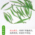 H. GENERAL Brand Ming Qian Premium Grade Que She Sparrow's Tongue Chinese Green Tea 125g*2