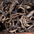 DR. PU'ER TEA Brand Mi Jing Bing Dao Pu-erh Tea Loose 2025 300g Raw
