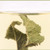 ZMPX Brand Fresh Spearmint Leaf Tea 40g*2