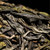 Xin Yi Hao Brand 10°Icelandic Sweet Pu-erh Tea Cake 2019 357g Raw