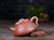 Handmade Yixing Zisha Clay Teapot Chungqu 260ml