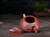 Handmade Yixing Zisha Clay Teapot Chungqu 260ml