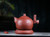 Handmade Yixing Zisha Clay Teapot Pidi 330ml