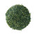 YIBEIXIANG TEA Brand AAAA Cloud Mist Gao Shan Yun Wu Cha Chinese Green Tea 250g*2