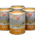 ZHONG MIN HONG TAI Brand Yan Chuang World Jin Jun Mei Golden Eyebrow Wuyi Black Tea 125g*4