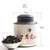 MATOUYAN Brand Bai Nian Lao Cong Shui Xian Rock Yan Cha China Fujian Oolong Tea 100g