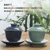 Chu Xin Agarwood Porcelain Kungfu Tea Teapot And Teacup Set