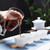 Xi Shi Porcelain Kungfu Tea Teapot And Teacup Set
