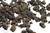 Three-Plum-Flower Taiwan Competition Grade Dong Ding Tea 100g