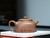 Handmade Yixing Zisha Clay Teapot Wucai 220ml