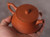 Handmade Yixing Zisha Clay Teapot Nizhu 150ml