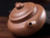 Handmade Yixing Zisha Clay Teapot Caisha 200ml