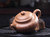 Handmade Yixing Zisha Clay Teapot Caisha 200ml