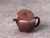 Handmade Yixing Zisha Clay Teapot Qinchao 220ml