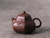 Handmade Yixing Zisha Clay Teapot Hanren 260ml