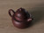 Handmade Yixing Zisha Clay Teapot Duoqiu 200ml