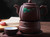 Brown Painted Yixing Zisha Clay Tea Set Teapot Teacup Warmer and Tray