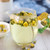 SHIFENG Brand Fetal Chrysanthemum Bud Tea 40g
