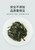 EFUTON Brand Dandelion Taraxacum Chinese Herbal Tea 80g