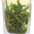 ZHANG YI YUAN Brand 4 Grade Long Jing Dragon Well Green Tea 50g