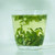 HUI LIU Brand Tian Qing Te 1st Grade Liu An Gua Pian Melon Slice Tea 100g