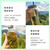 2100 Meters Yunnan Teng Chong Lightly Roasted High-mountain Oolong Tea
