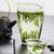 H. GENERAL Brand Qun Fang Zui Ming Qian Premium Grade Huang Shan Mao Feng Yellow Mountain Green Tea 300g