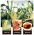 Premium Organic Dried Corn Silk Barbas de Elote Herbal Tea Supports Urinary Tract Health
