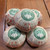 Gold Award Organic Millennium Tree Tuo Pu-erh Tea 2003 100g Raw