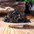 Wild Ancient Tree Purple Varietal Yunnan White Tea