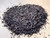 Organic First Flush Yame Wakocha Yabukita Japanese Black Tea