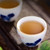 TenFu's TEA Brand Yin Ya Qing Bing Pu-erh Tea Cake 2022 327g Raw